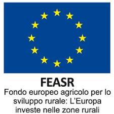 Web Logo
