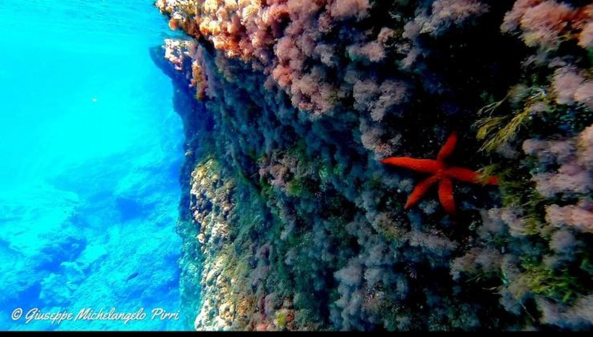 Activity picture